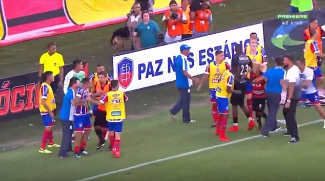Brazilian league match abandoned after nine players are sent off in mass brawl